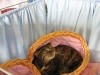 img_0031