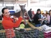 img_2198