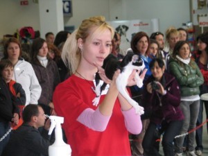 Razstava mačk, Celje 2010 Razstava mačk, Celje 2010
