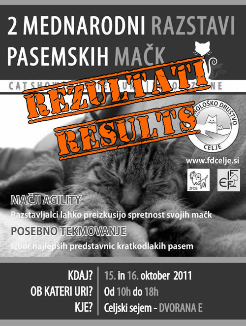 Razstava mačk | Exhibition | Ausstellung | Esposizione plakat_macke_web2